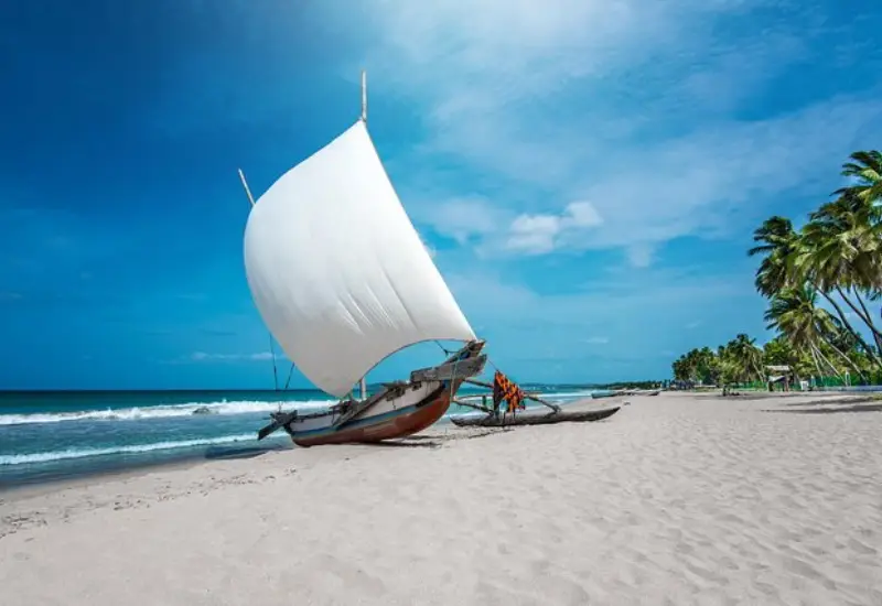 5-Day Beach Escapes & Coastal Tour